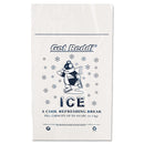 Inteplast Group Ice Bags, 1.5 mil, 12" x 21", Clear, 1,000/Carton