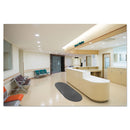 Guardian EcoGuard Diamond Floor Mat, Double Fan, 48 x 96, Charcoal