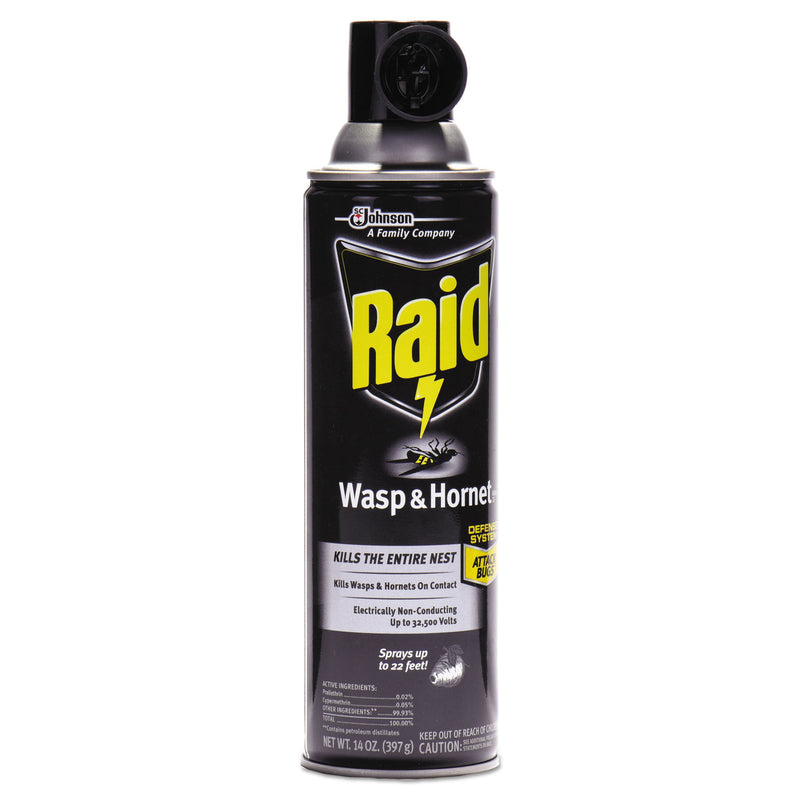 Raid Wasp and Hornet Killer, 14 oz Aerosol Spray