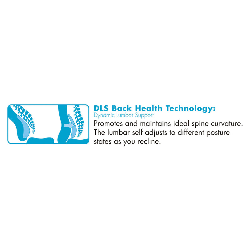 La-Z-Boy Commercial 2000 Big/Tall Executive Chair, Lumbar, Supports 400 lb, 20.25" to 23.25" Seat Height, Black Seat/Back, Silver Base