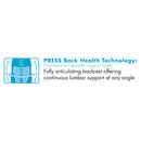 SertaPedic Cosset Mid-Back Executive Chair, Supports Up to 275 lb, 18.5" to 21.5" Seat Height, Black Seat/Back, Slate Base