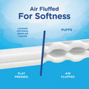 Puffs Facial Tissue, 2-Ply, White, 64 Sheets/Box, 24 Boxes/Carton