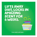 Gain Liquid Laundry Detergent, Original Fresh, 25 oz Bottle, 6/Carton