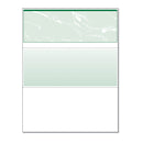DocuGard Standard Security Check, 11 Features, 8.5 x 11, Green Marble Top, 500/Ream