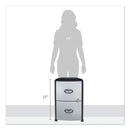 Storex Mobile Filing Cabinet with Metal Siding, 2 Letter-Size File Drawers, Silver/Black, 19" x 15" x 23"