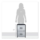 Storex Mobile Filing Cabinet with Metal Siding and Top-Drawer Organizer Tray, 2 Letter File Drawers, Silver/Black, 19" x 15" x 23"