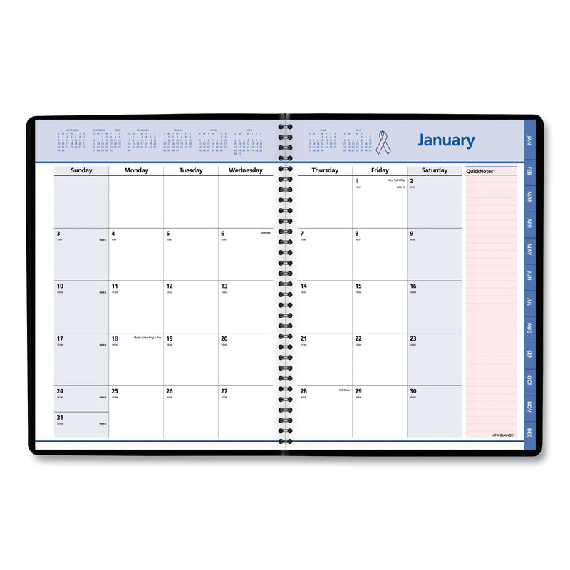 AT-A-GLANCE QuickNotes Special Edition Monthly Planner, 11 x 8.25, Black/Pink Cover, 12-Month (Jan to Dec): 2023