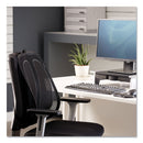 Fellowes Office Suites Mesh Back Support, 17.3 x 5.56 x 20.18, Black