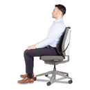 Fellowes Office Suites Mesh Back Support, 17.3 x 5.56 x 20.18, Black