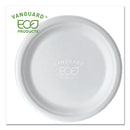ECOEPP013NFA Thumbnail
