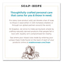 Soapbox Hand Soap, Vanilla and Lily Blossom, 12 oz Pump Bottle, 12/Carton