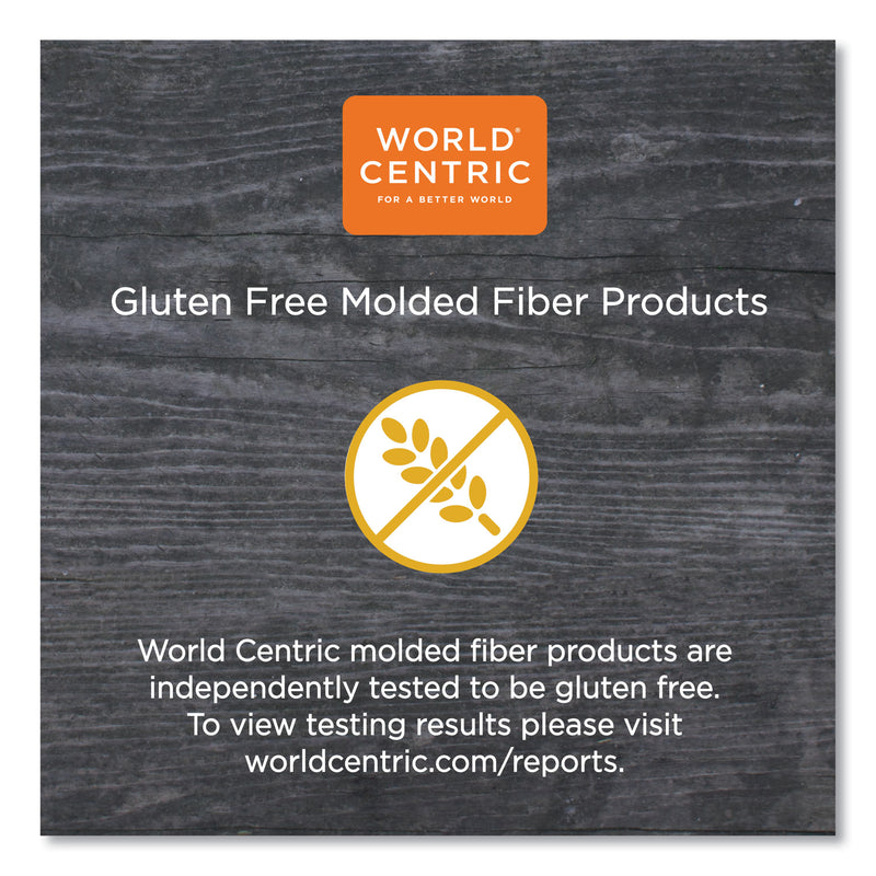 World Centric Fiber Hinged Containers, 9 x 9 x 3, Natural, Paper, 300/Carton