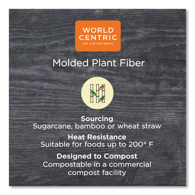 World Centric Fiber Hinged Containers, 8 x 8 x 3, Natural, Paper, 300/Carton