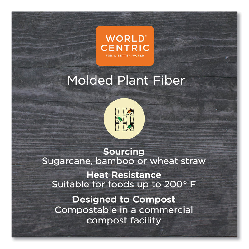 World Centric Fiber Hinged Containers, 9 x 9 x 3, Natural, Paper, 300/Carton
