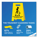 Clorox Urine Remover for Stains and Odors, 32 oz Pull top Bottle, 6/Carton