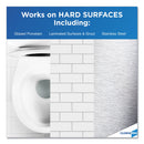 Clorox Disinfecting Bio Stain and Odor Remover, Fragranced, 32 oz Spray Bottle