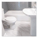 Zep Commercial Antibacterial Disinfectant, 1 gal Bottle