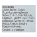 LYSOL Hygienic Automatic Toilet Bowl Cleaner, Atlantic Fresh, 2/Pack