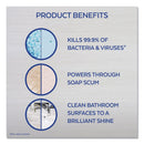 LYSOL Mold and Mildew Remover with Bleach, Ready to Use, 32 oz Spray Bottle