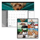 Blueline Pets Collection Monthly Desk Pad, Puppies Photography, 22 x 17, Black Binding, Clear Corners, 12-Month (Jan to Dec): 2023