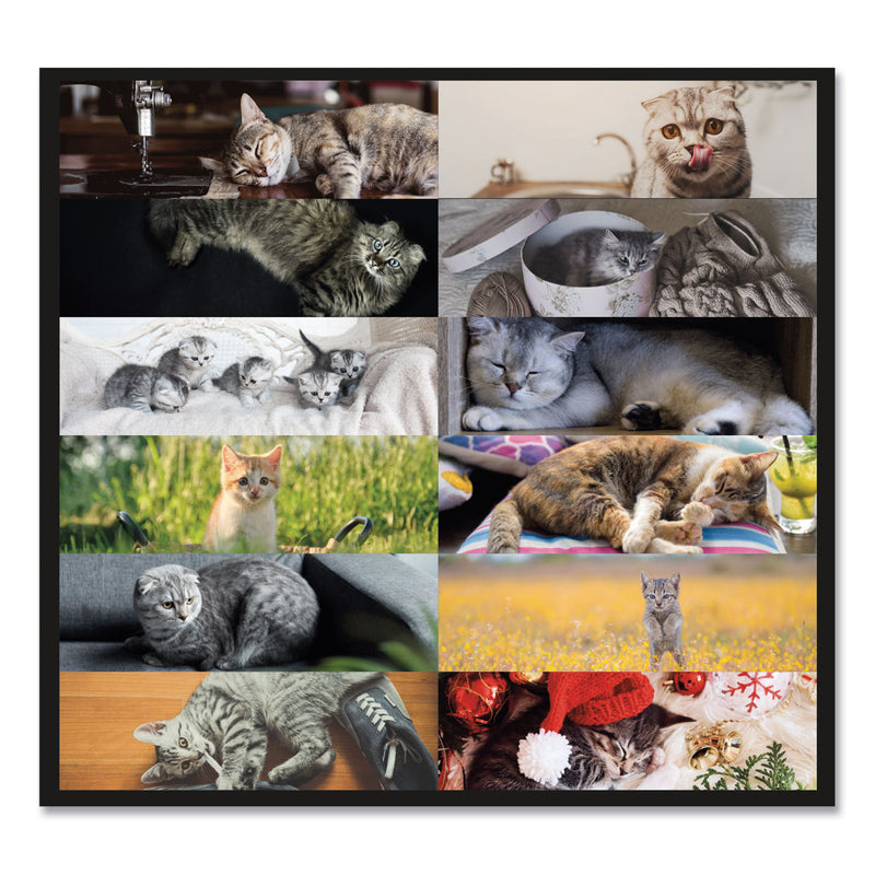 Blueline Pets Collection Monthly Desk Pad, Furry Kittens Photography, 22 x 17, White Sheets, Black Binding, 12-Month (Jan-Dec): 2023