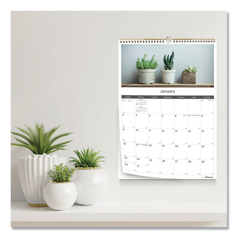 Blueline 12-Month Wall Calendar, Succulent Plants Photography, 12 x 17, White/Multicolor Sheets, 12-Month (Jan to Dec): 2023