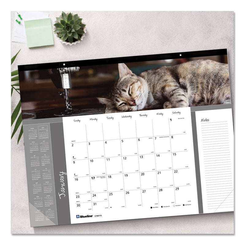 Blueline Pets Collection Monthly Desk Pad, Furry Kittens Photography, 22 x 17, White Sheets, Black Binding, 12-Month (Jan-Dec): 2023