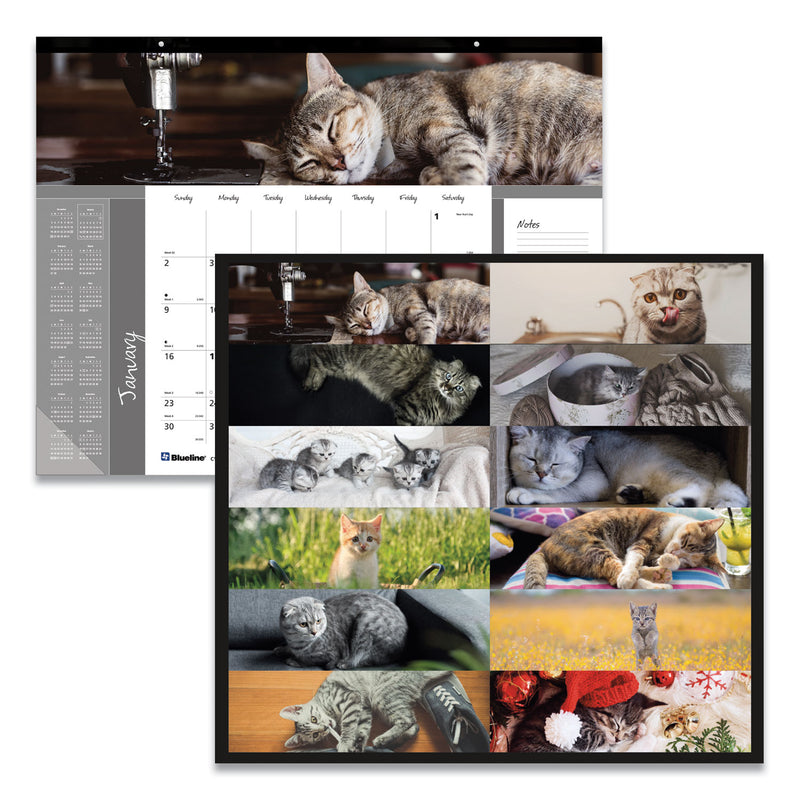 Blueline Pets Collection Monthly Desk Pad, Furry Kittens Photography, 22 x 17, White Sheets, Black Binding, 12-Month (Jan-Dec): 2023