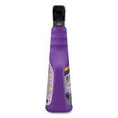Raid Bed Bug and Flea Killer, 22 oz Bottle, 4/Carton