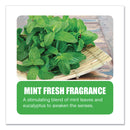 Big D Industries Enzym D Digester Deodorant, Mint, 32 oz Bottle, 12/Carton