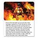 Big D Industries Fire D One Shot Aerosol, 5 oz Aerosol Spray, 12/Carton