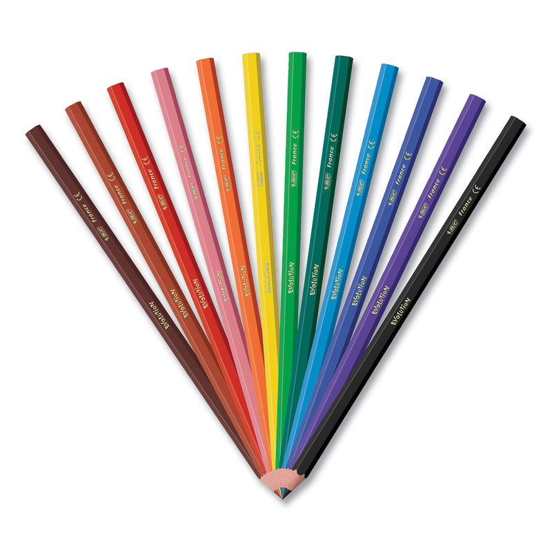 BIC Kids Coloring Pencils in Plastic Case, 0.7 mm, HB2 (