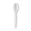 Dixie Plastic Cutlery, Heavy Mediumweight Teaspoons, White, 1,000/Carton