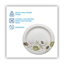 Dixie Pathways Soak Proof Shield  Heavyweight Paper Plates, WiseSize, 5.88" dia, Green/Burgundy, 500/Carton