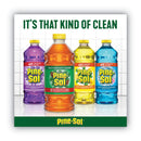 Pine-Sol Multi-Surface Cleaner Disinfectant, Pine, 24 oz Bottle