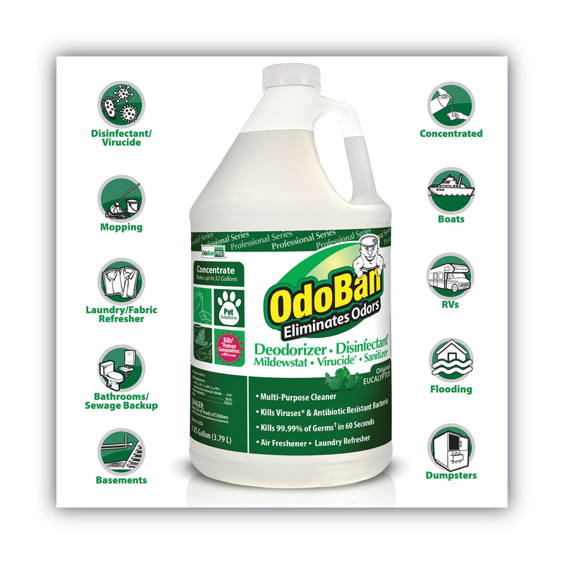 OdoBan Concentrated Odor Eliminator, Eucalyptus, 1 gal Bottle, 4/Carton