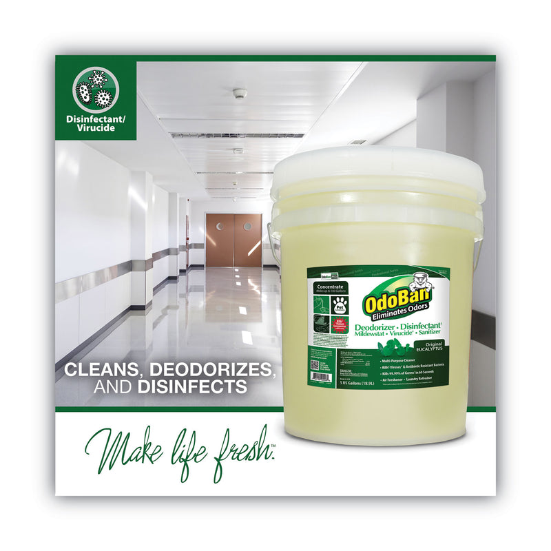 OdoBan Concentrated Odor Eliminator and Disinfectant, Eucalyptus, 5 gal Pail