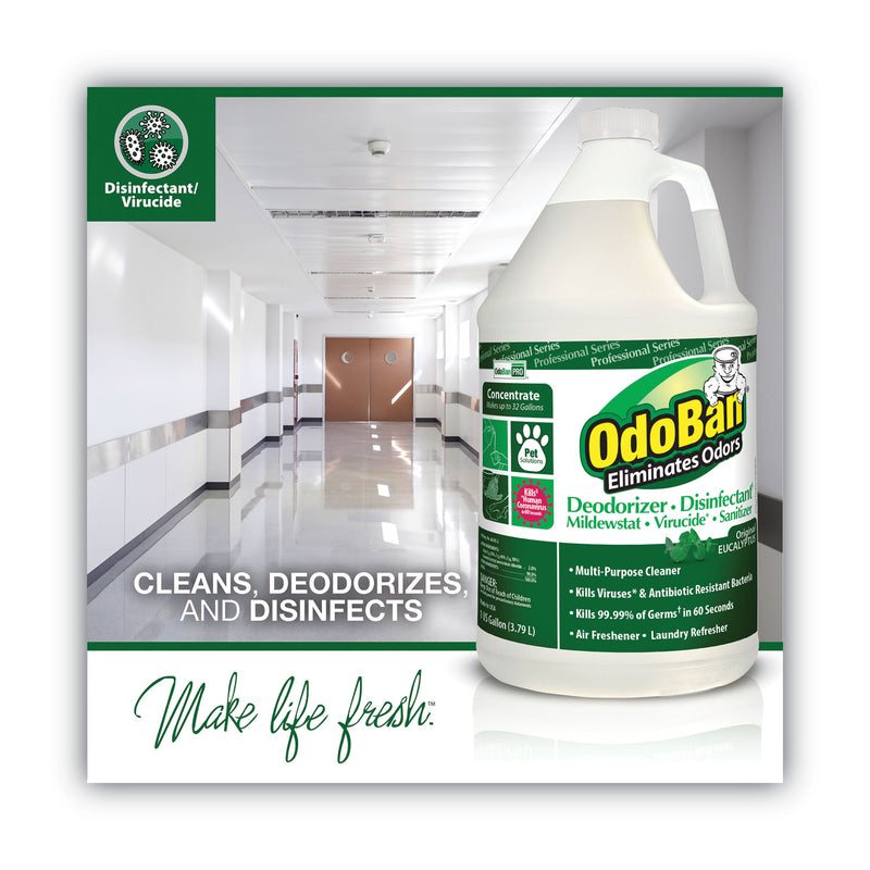 OdoBan Concentrated Odor Eliminator, Eucalyptus, 1 gal Bottle, 4/Carton