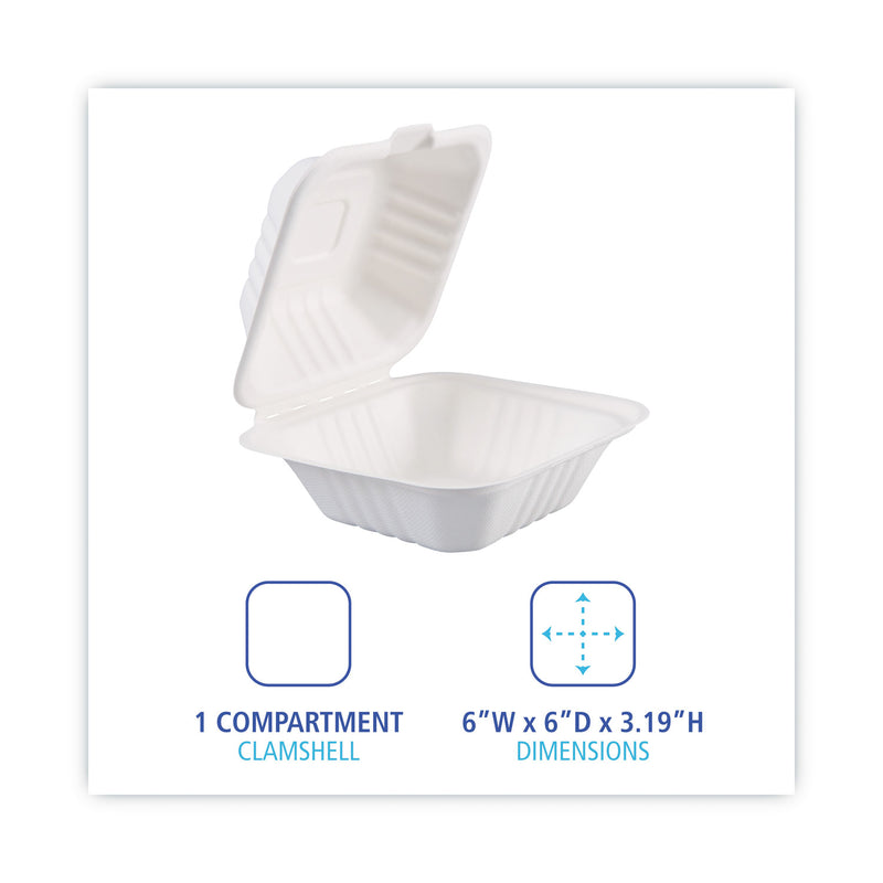 Boardwalk Bagasse Food Containers, Hinged-Lid, 1-Compartment 6 x 6 x 3.19, White, Sugarcane, 125/Sleeve, 4 Sleeves/Carton