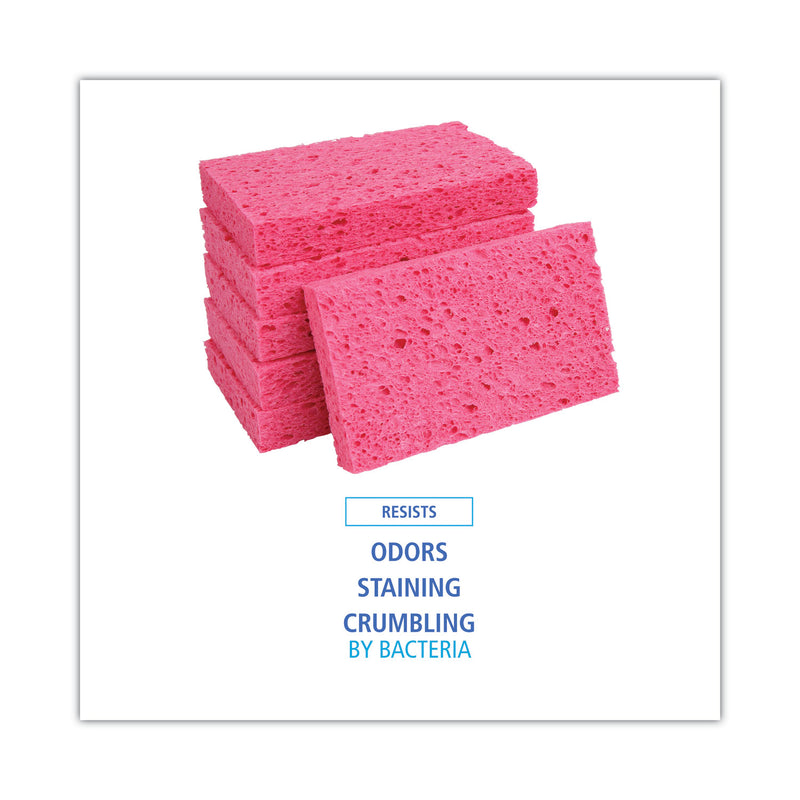 Boardwalk Small Cellulose Sponge, 3.6 x 6.5, 0.9" Thick, Pink, 2/Pack, 24 Packs/Carton