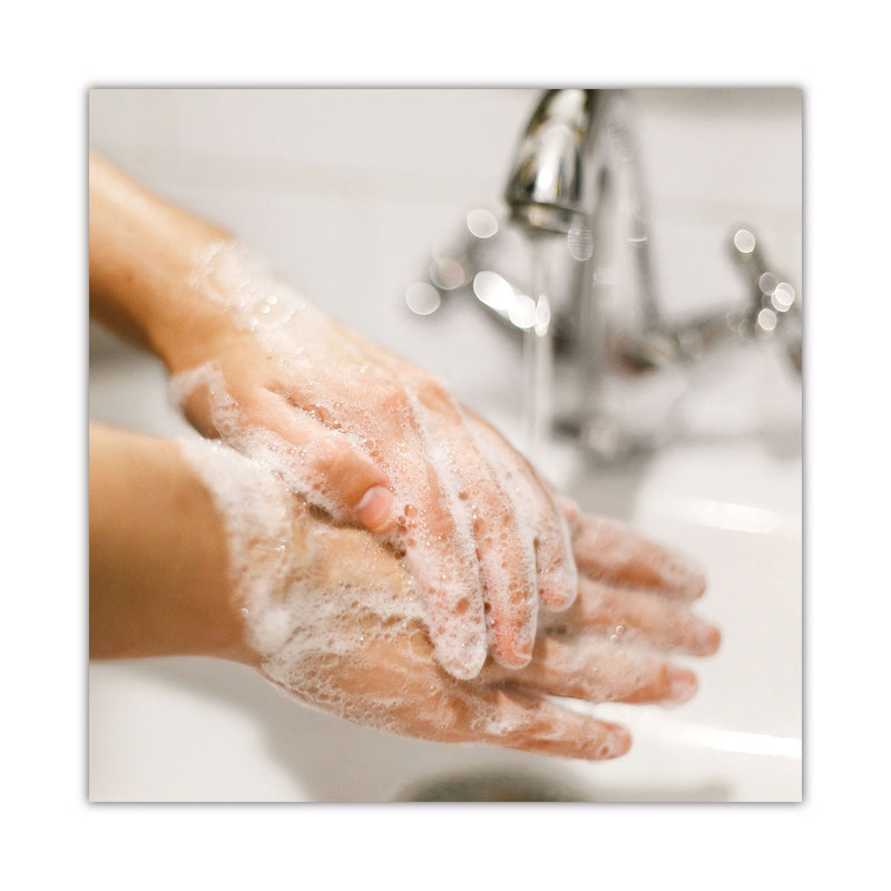 Dial Basics MP Free Liquid Hand Soap, Unscented, 15 oz Refill Bottle, 6/Carton