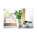 POSCA Permanent Specialty Marker, Fine Bullet Tip, Assorted Colors,16/Pack