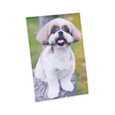 Universal Clear L-Style Freestanding Frame, 5 x 7 Insert, 3/Pack