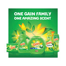 Gain Flings Detergent Pods, Original, 81 Pods/Tub, 4 Tubs/Carton