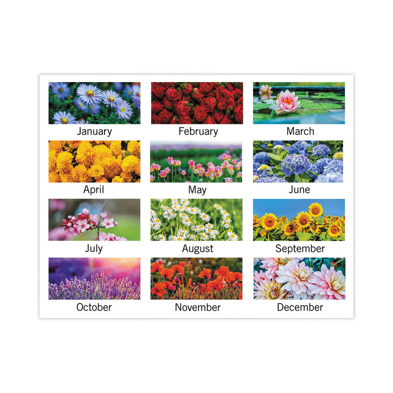 AT-A-GLANCE Floral Panoramic Desk Pad, Floral Photography, 22 x 17, White/Multicolor Sheets, Clear Corners, 12-Month (Jan-Dec): 2023