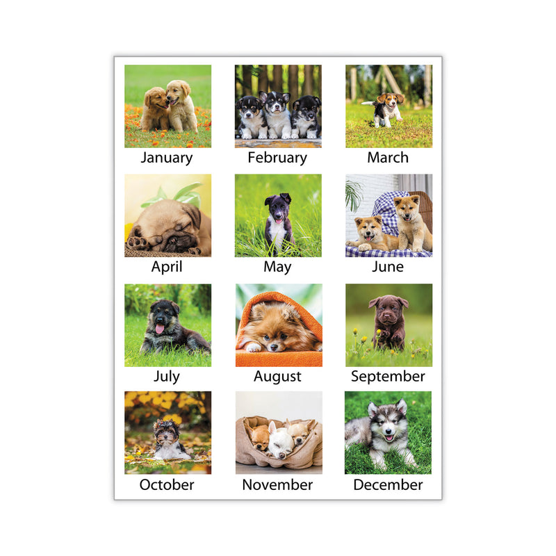 AT-A-GLANCE Puppies Monthly Desk Pad Calendar, Puppies Photography, 22 x 17, White Sheets, Clear Corners, 12-Month (Jan to Dec): 2023