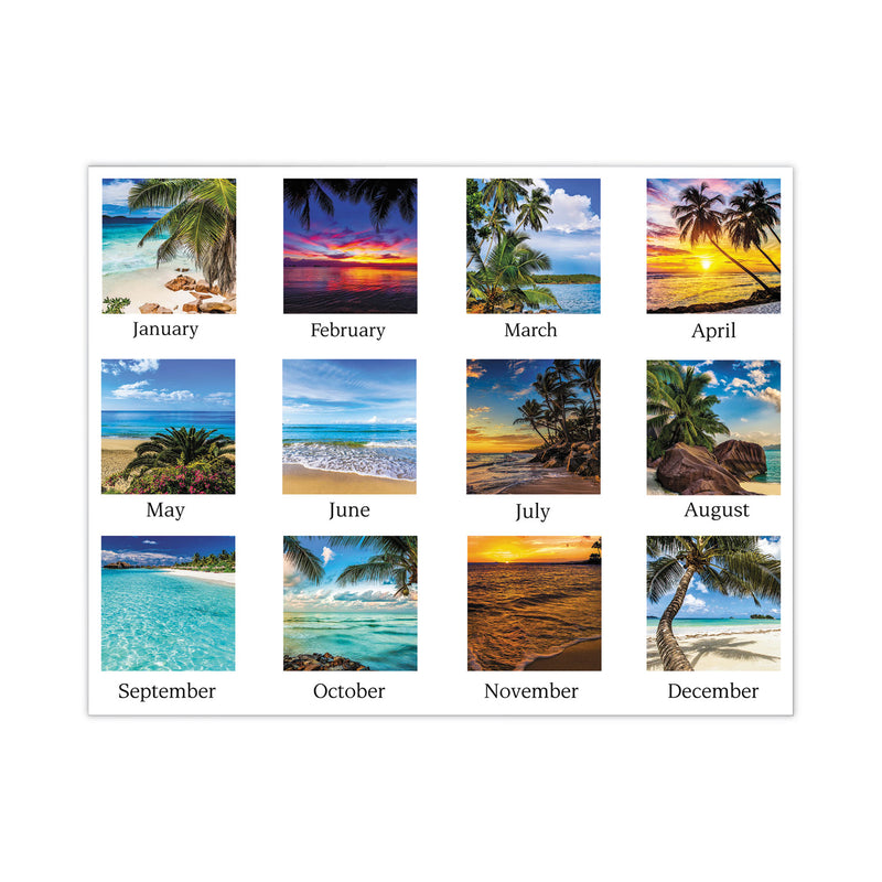 AT-A-GLANCE Tropical Escape Wall Calendar, Tropical Escape Photography, 15 x 12, Pale Blue/Multicolor Sheets, 12-Month (Jan to Dec): 2023