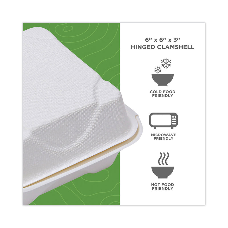 Eco-Products Renewable and Compostable Sugarcane Clamshells, 6 x 6 x 3, White, 50/Pack, 10 Packs/Carton