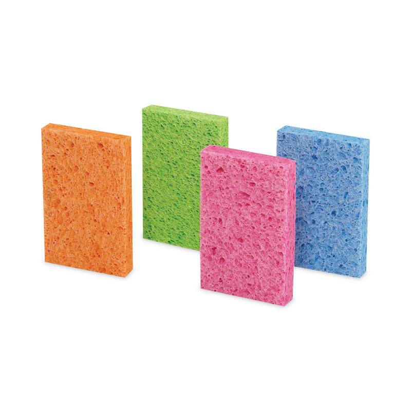 ocelo Vibrant Color Sponges, 4.7 x 3, 0.6" Thick, Assorted Colors, 4/Pack