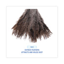 Boardwalk Professional Ostrich Feather Duster, Gray, 14" Length, 6" Handle